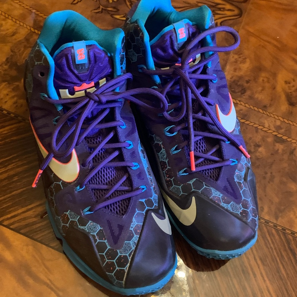 Nike Lebron James 11 Court Edition